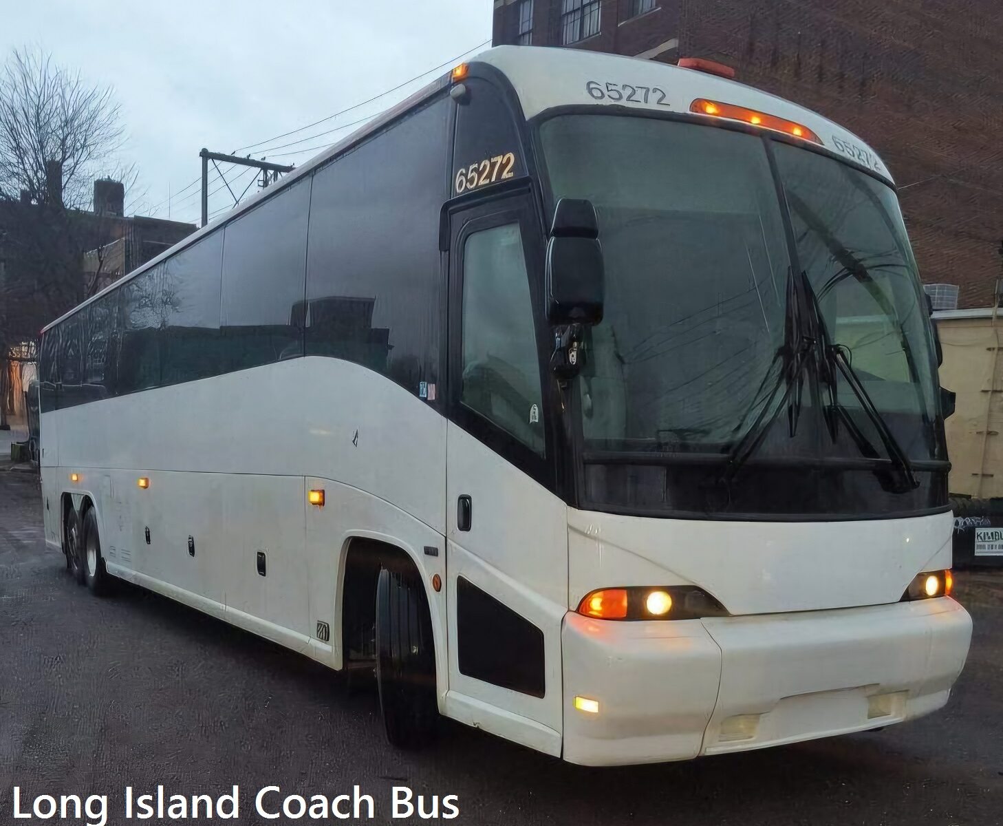 Wedding Coach Bus Transportation - Long Island Coach Bus